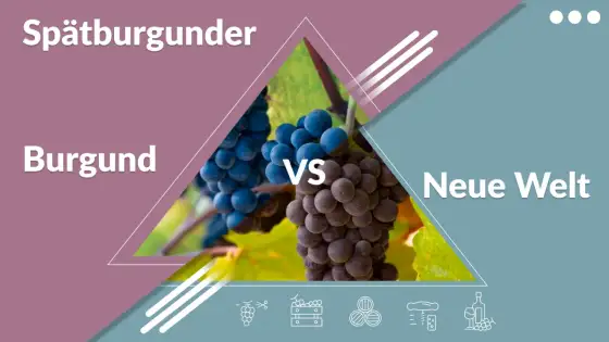 Spätburgunder verstehen - Deutscher Pinot Noir Guide